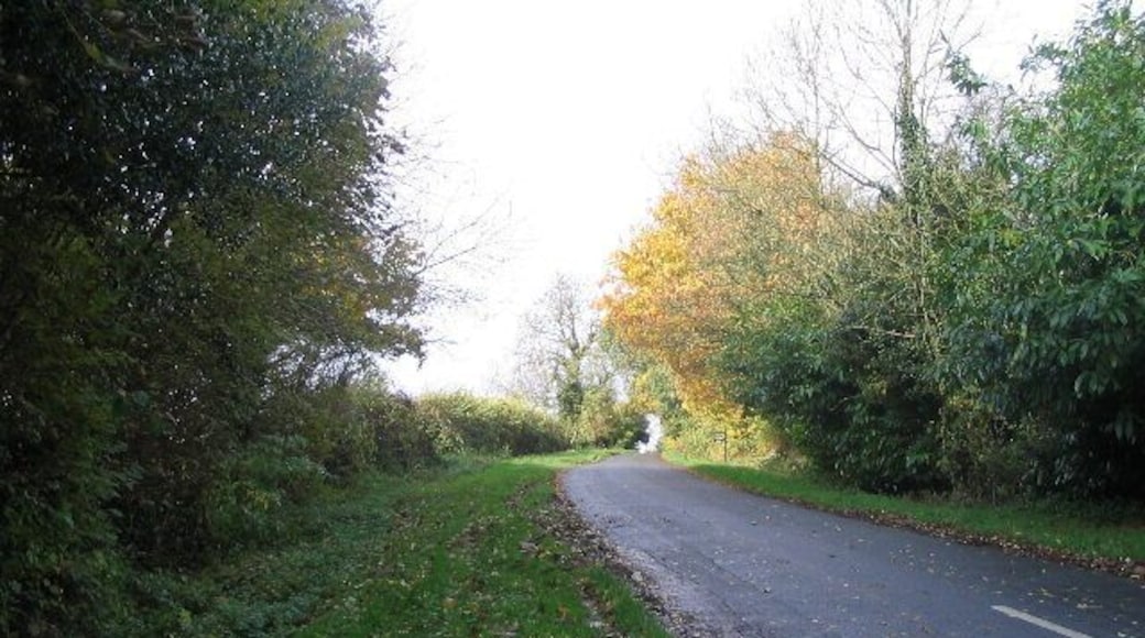 Frog Lane A quiet, short lane south of Balsall Common.
