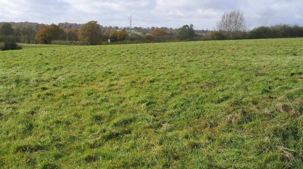 Farmland south of Frog Lane A view over a gate in Frog Lane, south of Balsall Common. The electricity pylons are in SP2375.