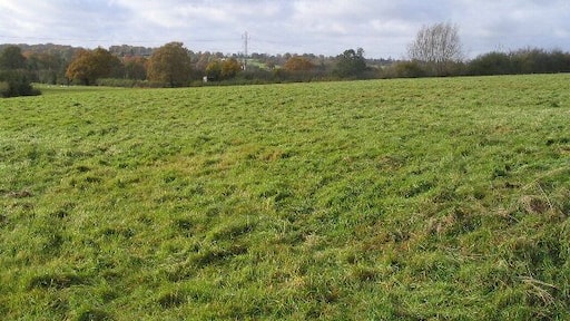 Farmland south of Frog Lane A view over a gate in Frog Lane, south of Balsall Common. The electricity pylons are in SP2375.