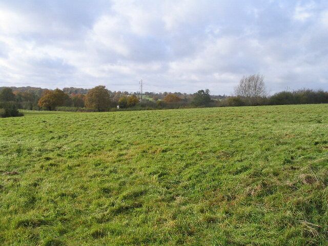 A grassy field with trees in the background and a power line tower.