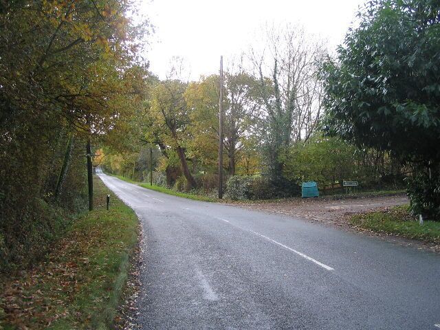 Holly and Frog Lane junction Holly Lane runs dead straight for a mile or so south from Balsall Common - watch out for fast moving traffic if you take a stroll down here. The lane joining from the right is Frog Lane.