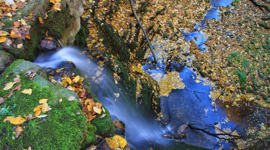 Ecopath Under the stone.Recommended by me!