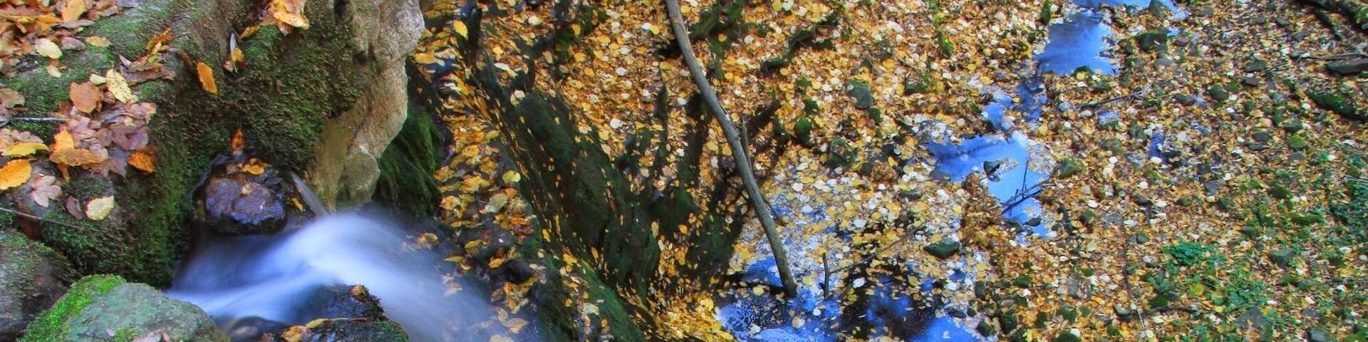 Ecopath Under the stone.Recommended by me!