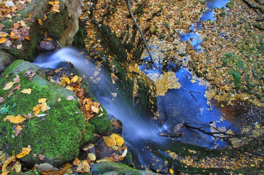 Ecopath Under the stone.Recommended by me!