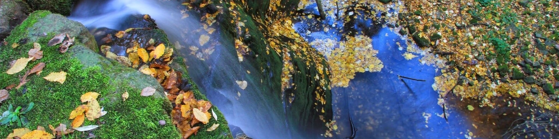 Ecopath Under the stone.Recommended by me!