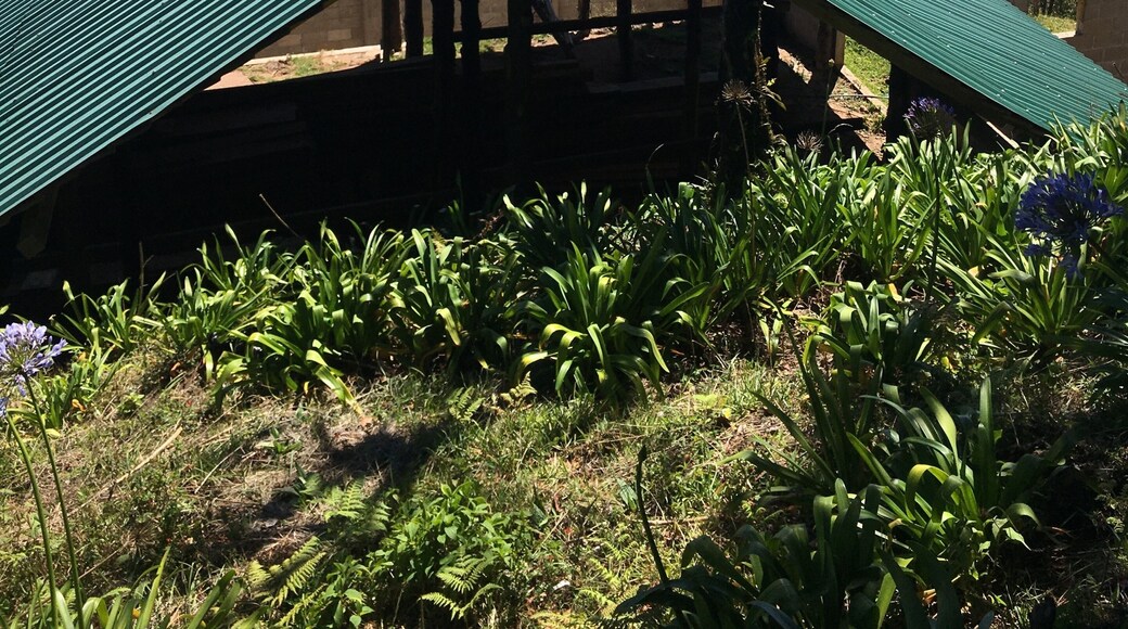 Reserva Natural "El Pital", San Ignacio, Chalatenango, El Salvador, Centro América