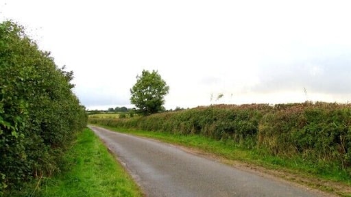 Greendale Lane away from Whissendine