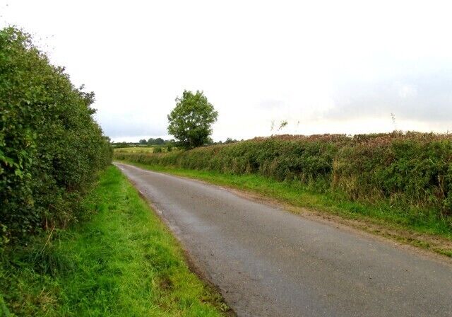 A narrow rural road flanked by dense hedgerows and fields.