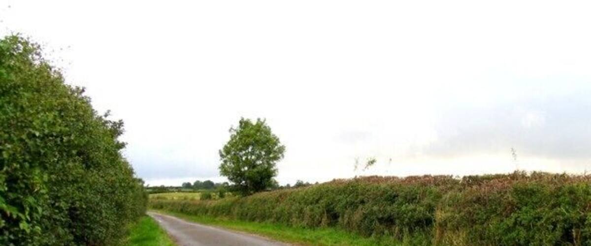 A narrow rural road flanked by dense hedgerows and fields.