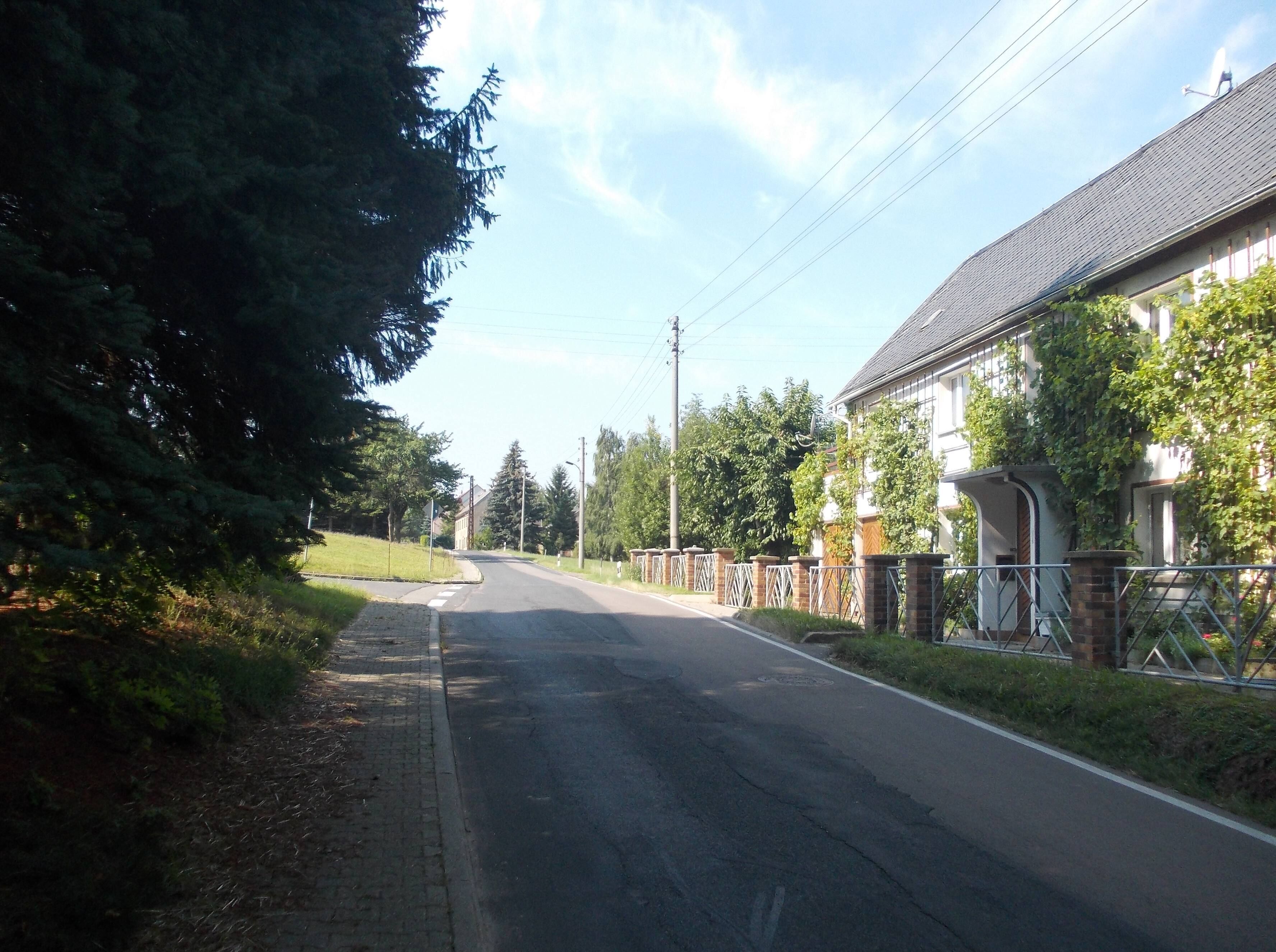 A quiet residential street lined with houses and trees.