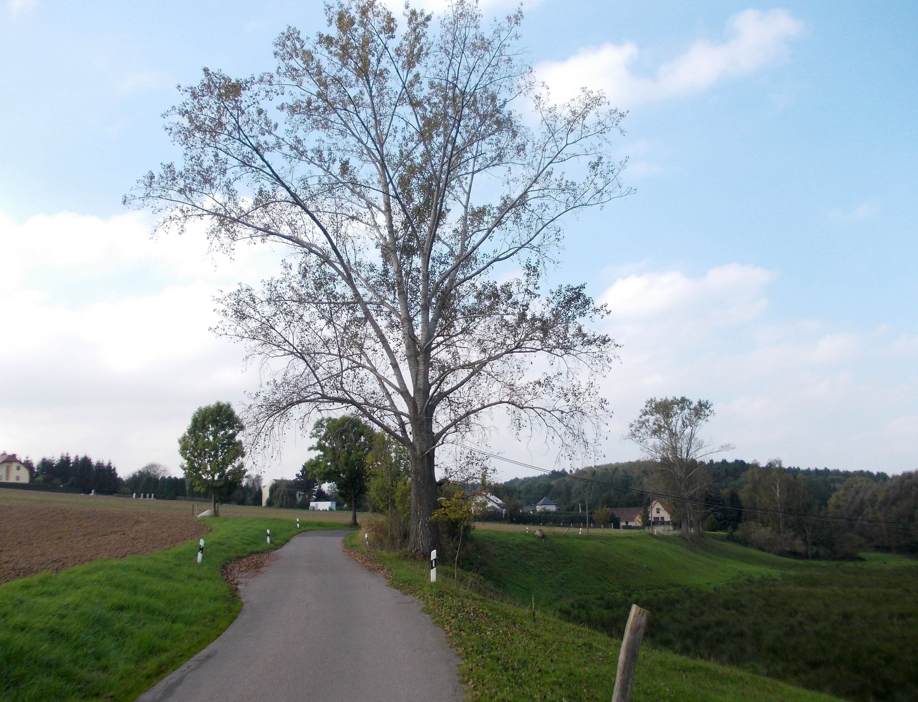 Hasslau (Rosswein, Mittelsachsen district, Saxony) from the east