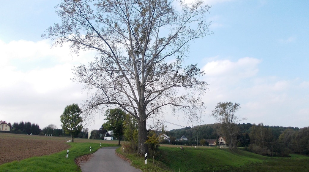 Hasslau (Rosswein, Mittelsachsen district, Saxony) from the east
