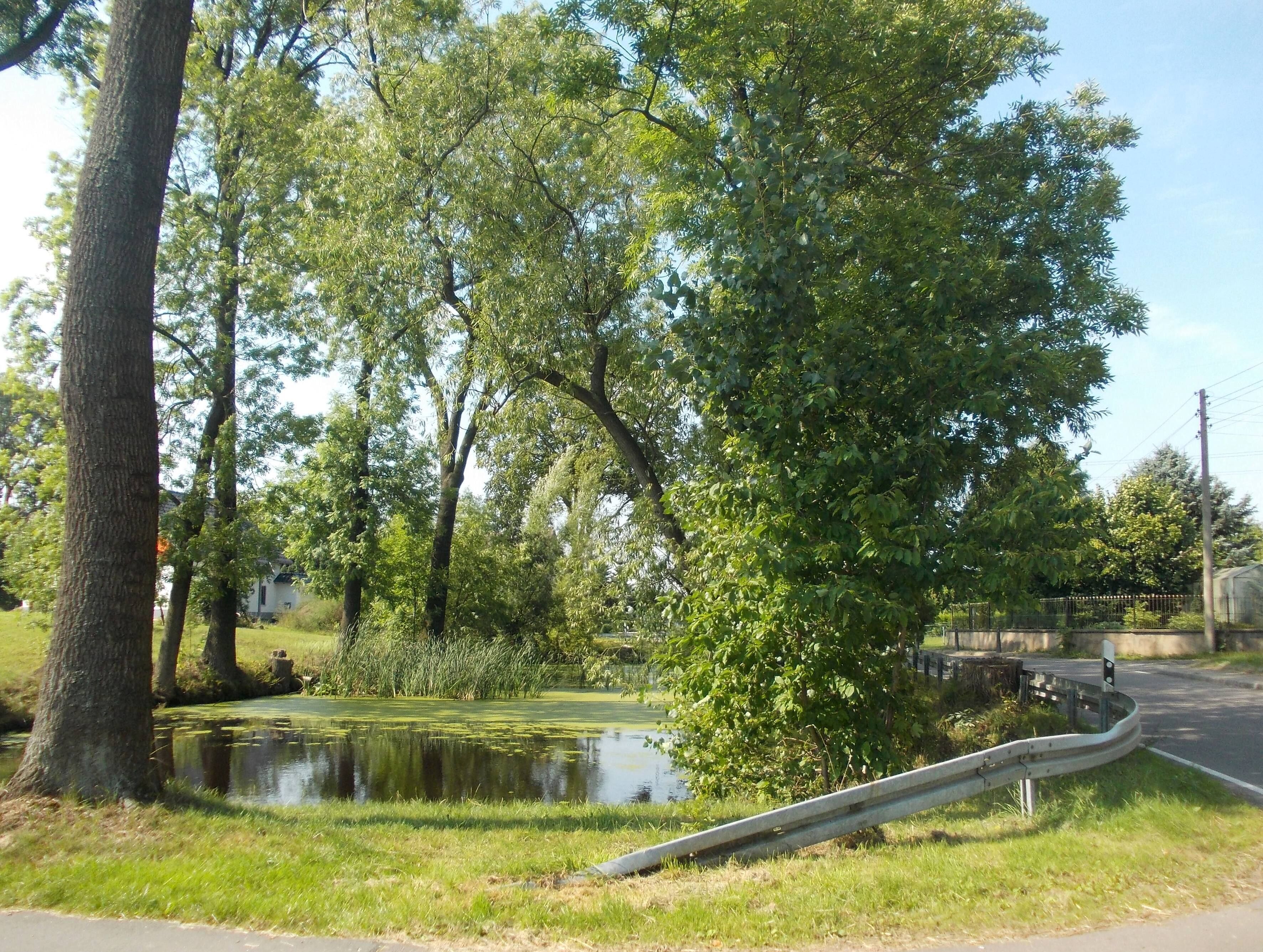 Pond in Littdorf (Rosswein, Mittelsachsen district, Saxony)
