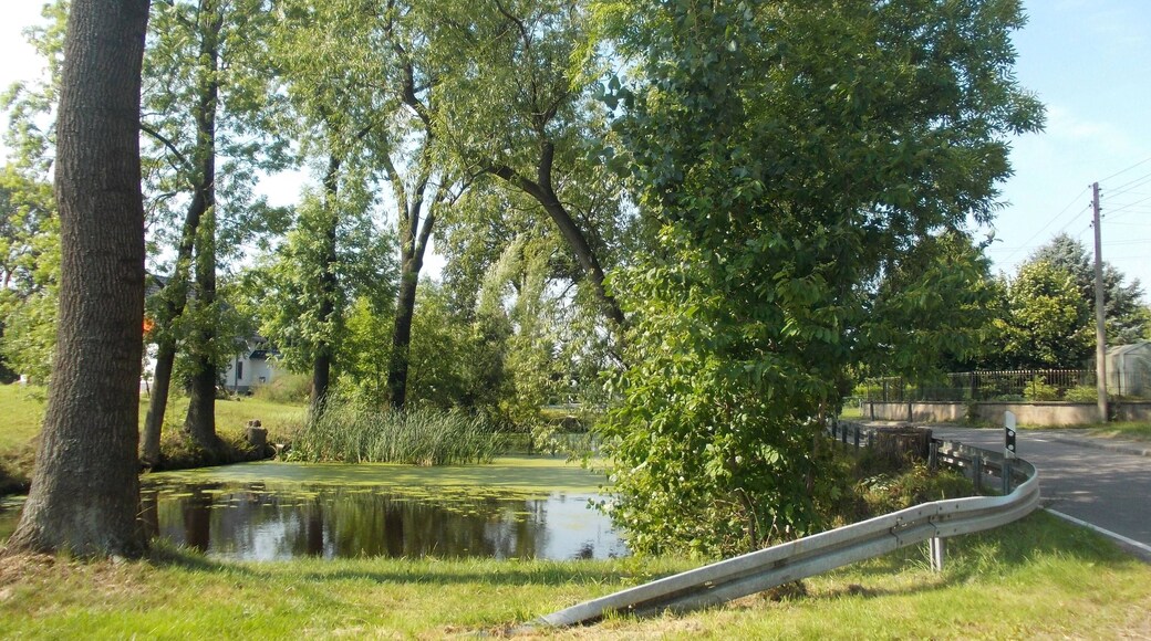 Pond in Littdorf (Rosswein, Mittelsachsen district, Saxony)