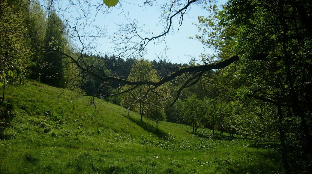 In the Zweinig Valley near Rosswein (Mittelsachsen district, Saxony)