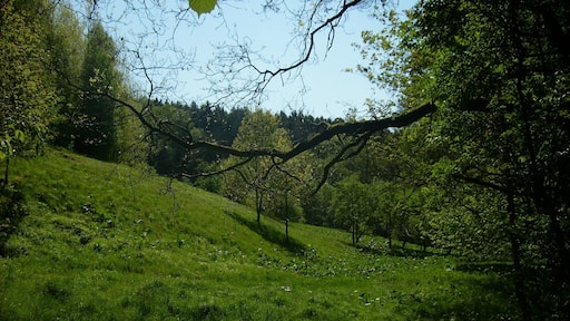 In the Zweinig Valley near Rosswein (Mittelsachsen district, Saxony)
