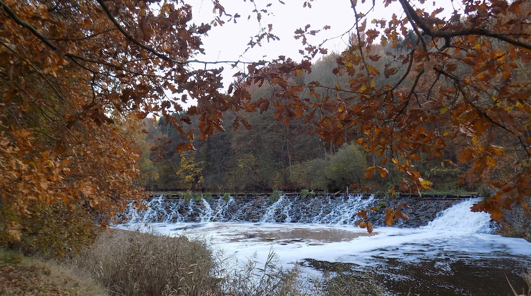 Weir on the Freiberger Mulde, belonging to the former Segen Gottes Erbstolln mining area near Gersdorf (Striegistal, Mittelsachsen district, Saxony)