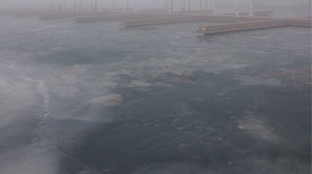 Boxing Day walk. One misty moist morning #WinterWonders