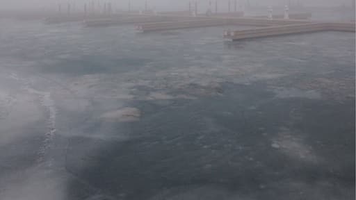 Boxing Day walk. One misty moist morning #WinterWonders