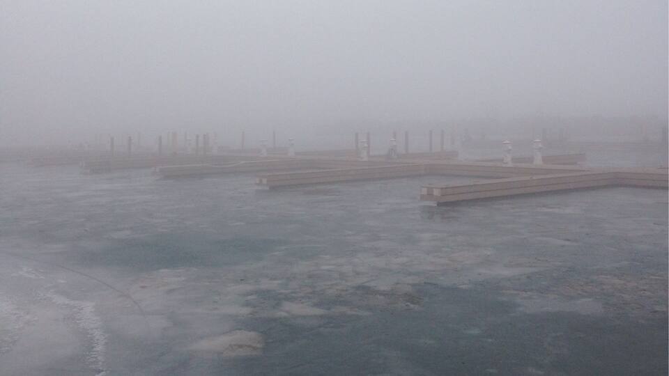 Boxing Day walk. One misty moist morning #WinterWonders