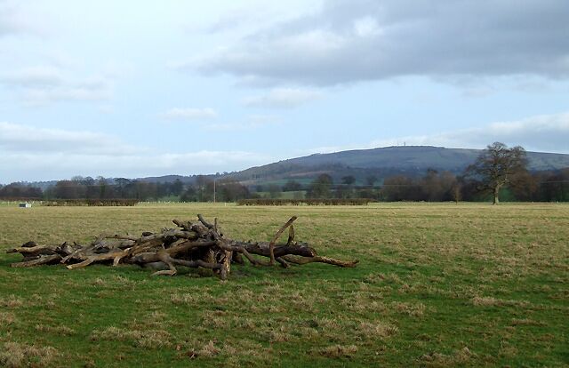 River Corve Flood Plain, Lawton, Shropshire The flat ground is punctuated by shallow drainage channels or ditch/brooks often man made. This allows the rich grazing land to be available for the maximum amount of time during the year. Brown Clee Hill is on the skyline 9km (just over 5 miles) distant