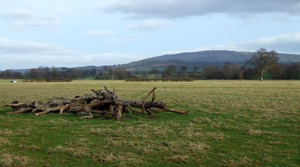 River Corve Flood Plain, Lawton, Shropshire The flat ground is punctuated by shallow drainage channels or ditch/brooks often man made. This allows the rich grazing land to be available for the maximum amount of time during the year. Brown Clee Hill is on the skyline 9km (just over 5 miles) distant