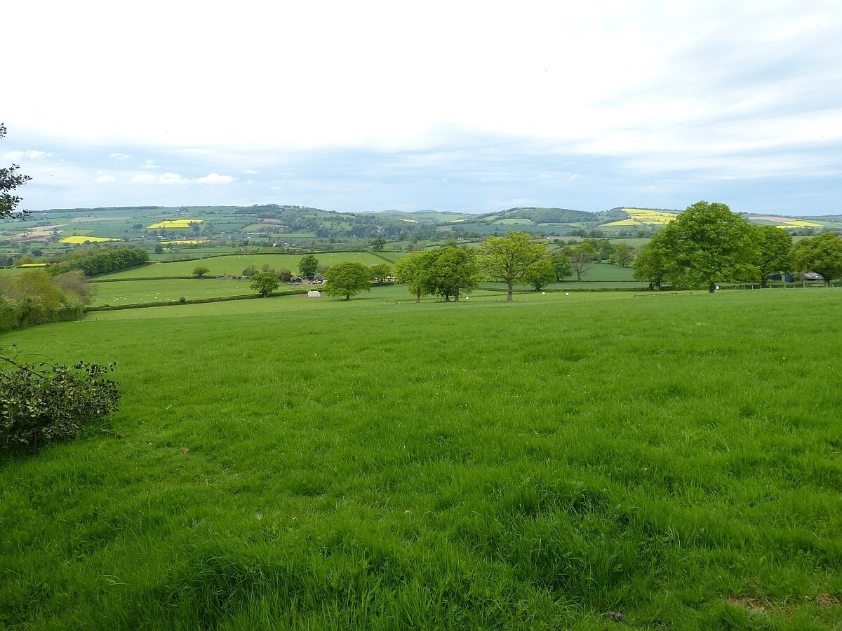 View of the Corvedale from Wynett Coppice