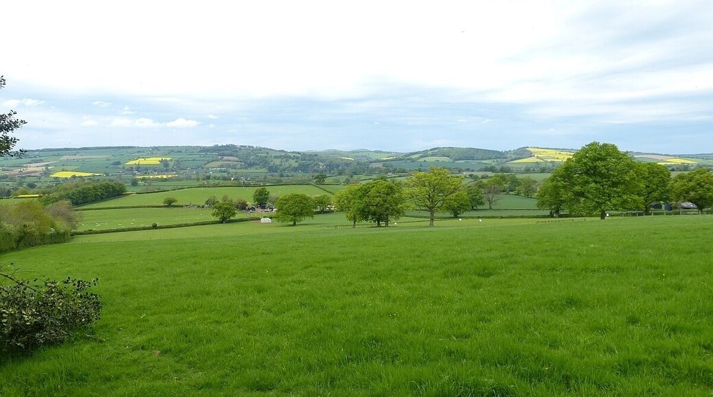 View of the Corvedale from Wynett Coppice