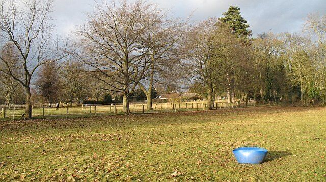 The Park, Ashford Court This was once a parkland with mature oaks. Most of the trees within the field have gone, although there still is a fine line of oaks and limes along the driveway to Ashford Court. In 1965 the eastern part of the park was split by a new road to Court Farm. Until the 1970s the whole park was farmed from Court Farm, now just this easternmost fragment remains as farmland, the rest is used for horses.