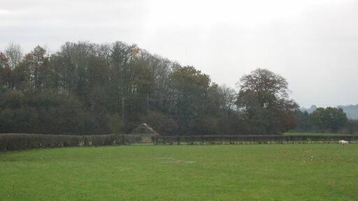 Old Plough Field. View to the Oak Beds wood and shed. Our last curlew's nest was in here. The birds convinced us it was in a neighbouring field, which was then strictly protected, and we ran over the hidden nest in here. They can be too clever for their own good.