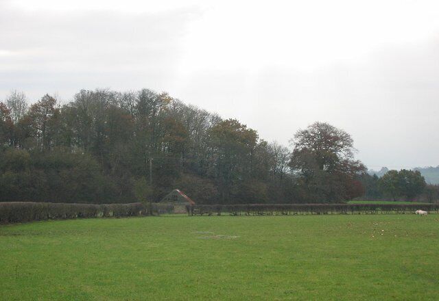 A green field with a fence, trees, and a building in the distance.
