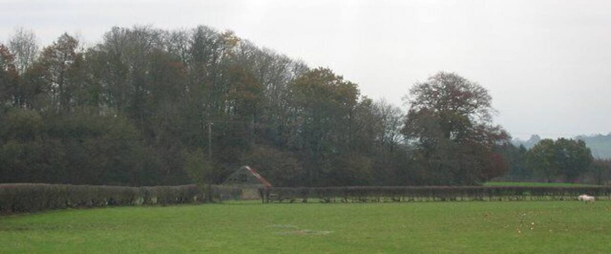 A green field with a fence, trees, and a building in the distance.