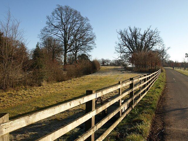 Entering Oakly Park. This narrow sector of the park between the drive (left) to Oakly Park house, and the bridleway drive through the park to Priors Halton, widens as the two diverge. The point where the two meet can be seen in front of the lodge in 1121880.