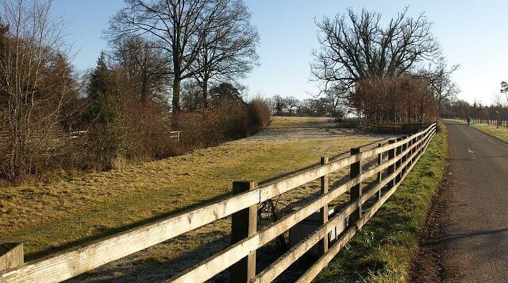 Entering Oakly Park. This narrow sector of the park between the drive (left) to Oakly Park house, and the bridleway drive through the park to Priors Halton, widens as the two diverge. The point where the two meet can be seen in front of the lodge in 1121880.