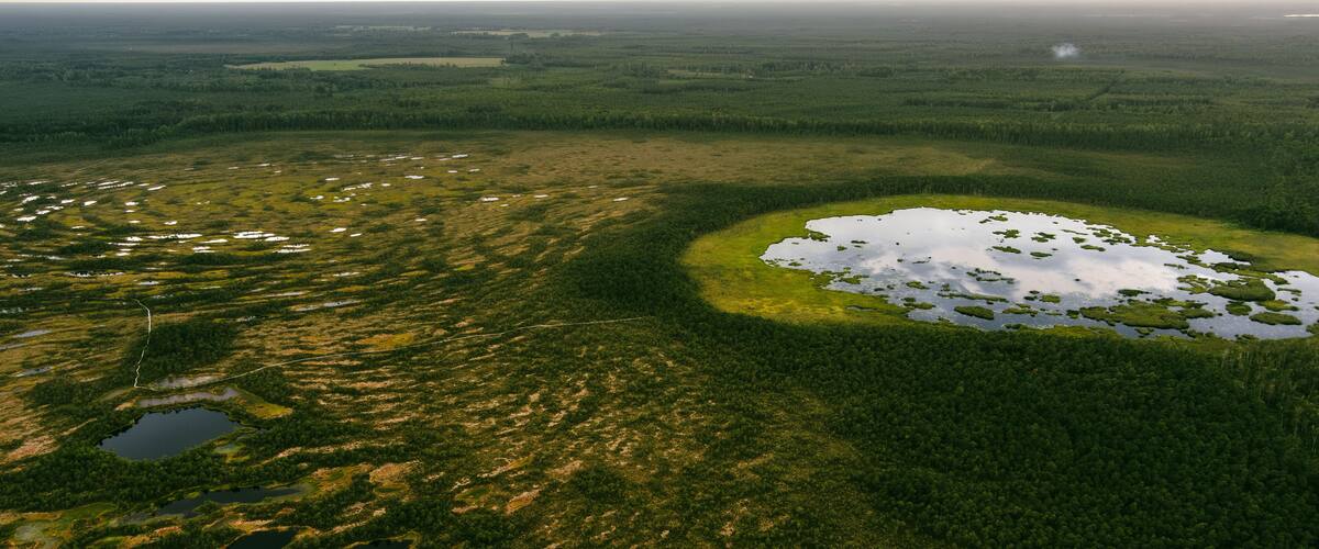 Aerial view of Seli Bog, dotted with pine trees, hollows and pools, located in Jarva county, Estonia. Unique wetland ecosystem supports diverse wildlife and is a home to unique plants and animals