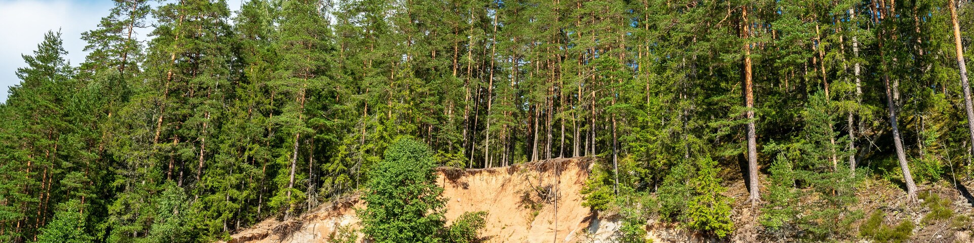 Coast at Saesaare Reservoir. Taevaskoja, Estonia