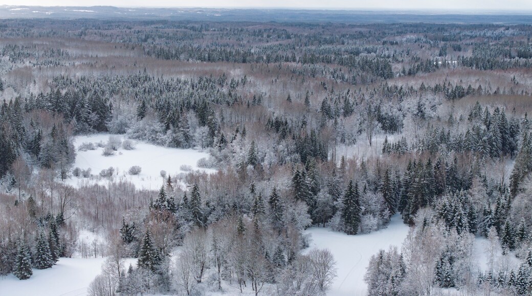 ๋ฒ๋ฃจ ์ฃผ