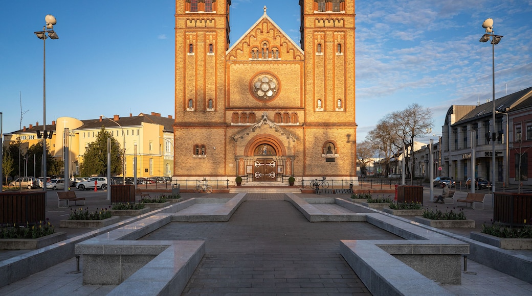 View on the cathedral of Nyíregyháza, Hungary