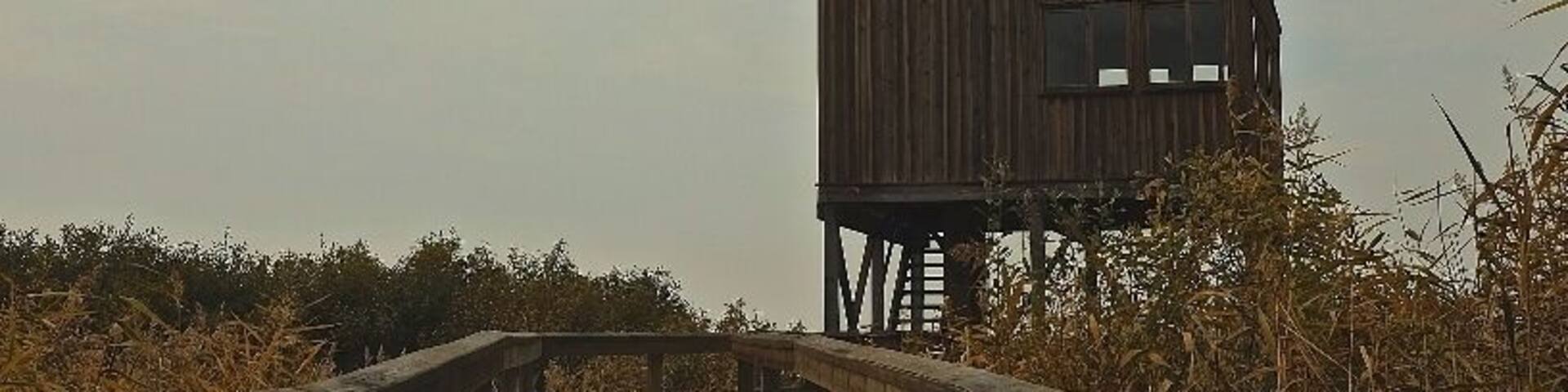 View Point at the Lake Zuvintai