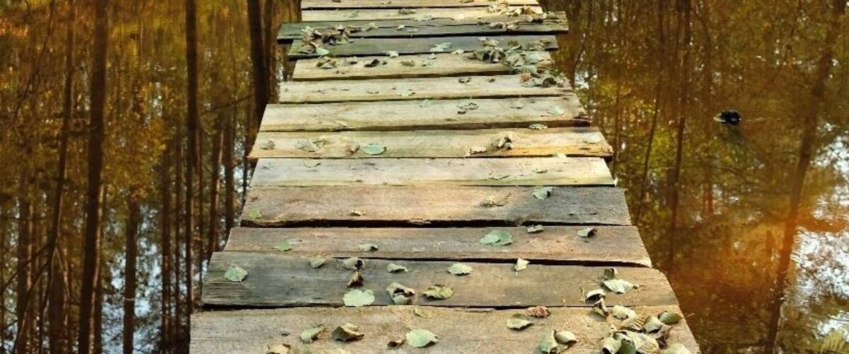 You can come across some beautiful places while in the woods, picking mushrooms & berries x