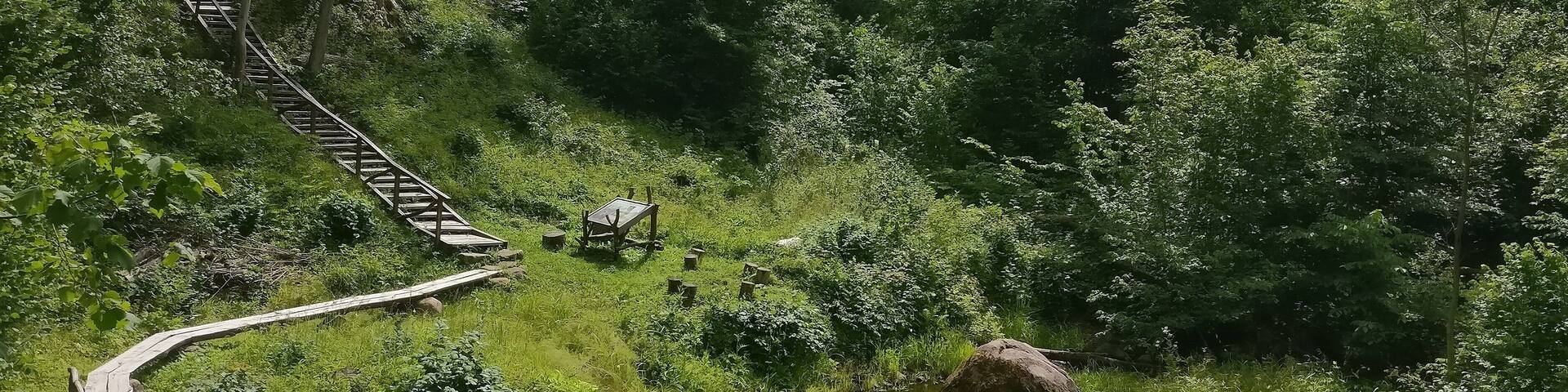 Jurkiškis trail is a nice place near dubingiai. It is a short path which goes up and down and takes about 30 minutes to go through all of it.
You will see a small river, big stone, nice trees and real Lithuanian nature. Enjoy the trail!