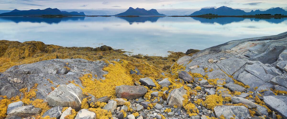 Norwegen, Nordland, Steigen, Sagfjorden,