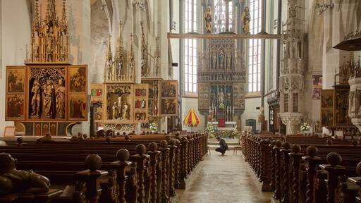 Interior de una iglesia ornamentada con hileras de bancas de madera, pinturas religiosas y un gran altar.