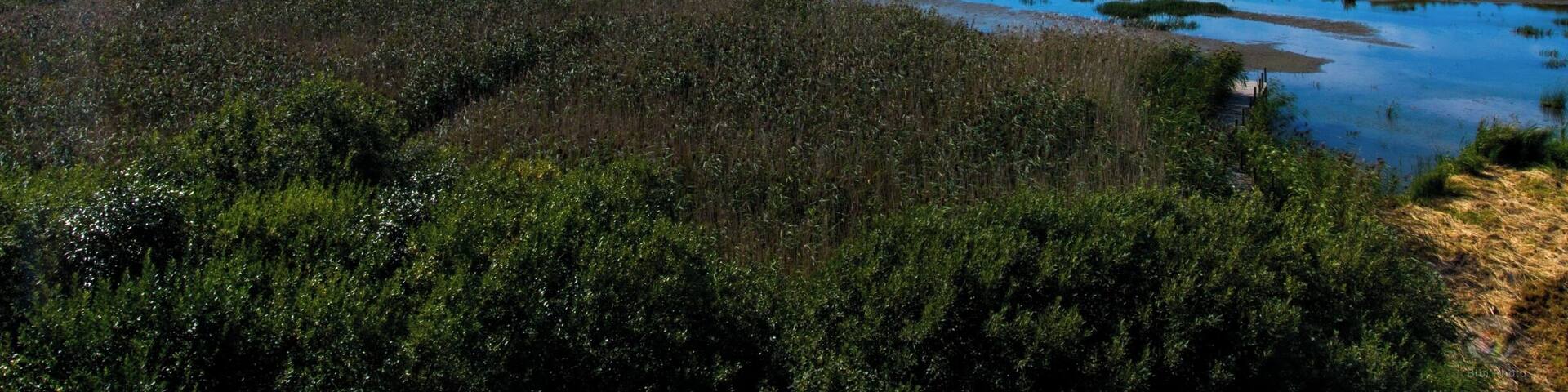 A coastal landscape with a clear blue sea, sandy beaches, and dense vegetation.