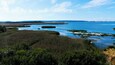 Eine Küstenlandschaft mit klarem, blauem Meer, Sandstränden und dichter Vegetation.