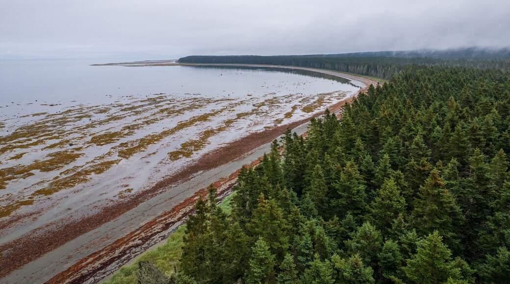 جزيرة أنتيكوستي