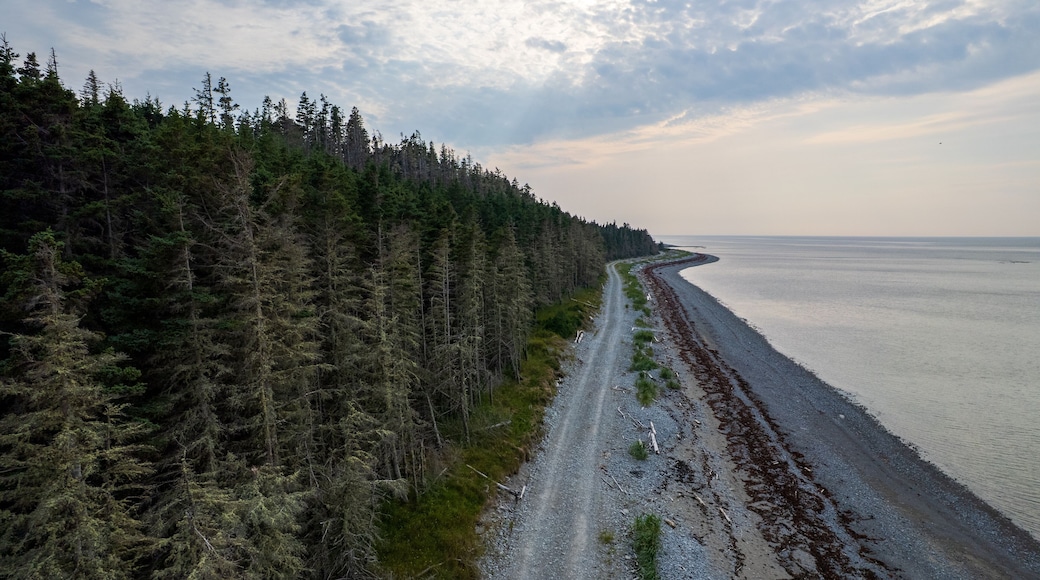 جزيرة أنتيكوستي