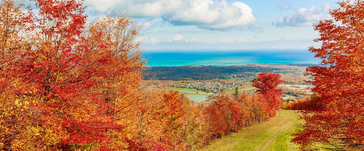 A scenic view of a coastal town with autumn foliage, a clear sky, and a distant view of the ocean.