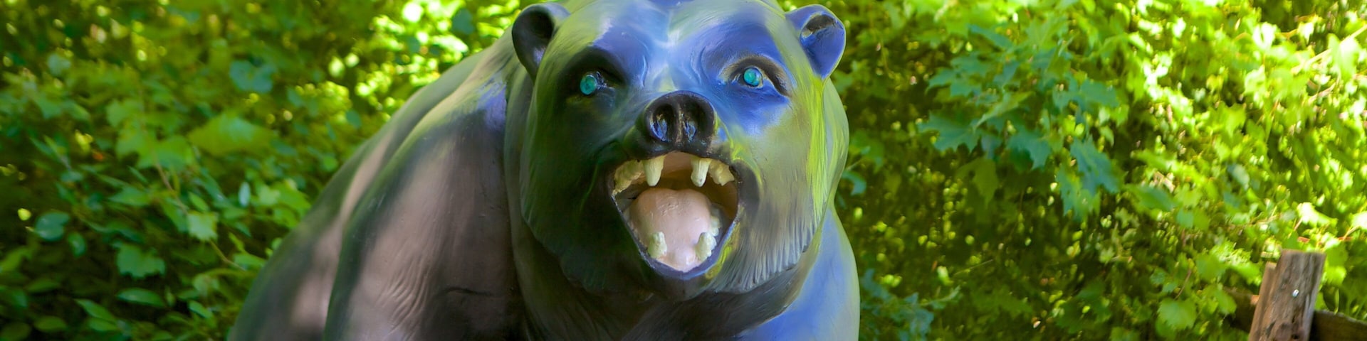 Grey County featuring outdoor art