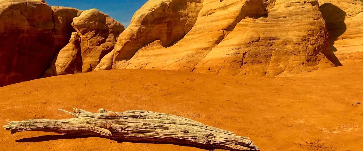 Just twenty paces from Metate Arch are features like this in the Devils Garden.